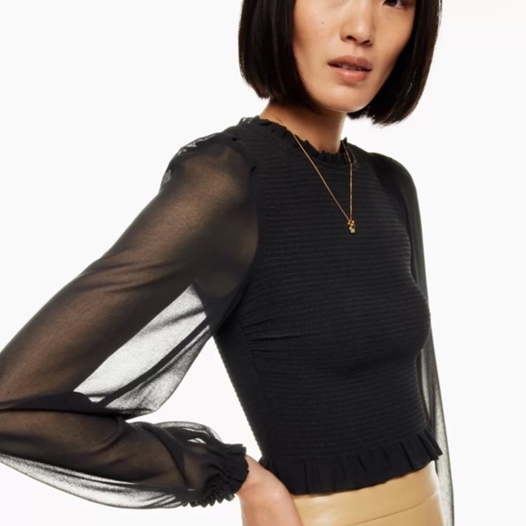 Aritiza Wilfred Tempest Smocked Chiffon Blouse - Picture 4 of 11